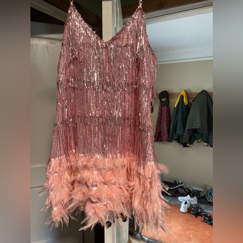 Gatsby pink with feathers and fringed sequins Taylor Swift Eras Tour
